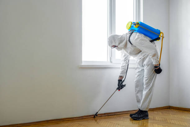 Trusted Vernon Center, NJ Pest Control Experts