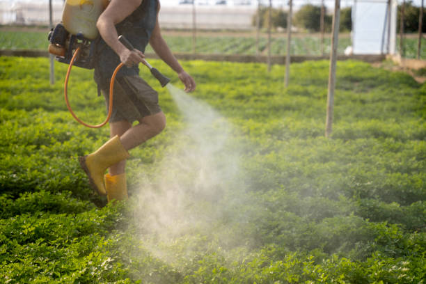Best Pest Removal Services  in Vernon Center, NJ