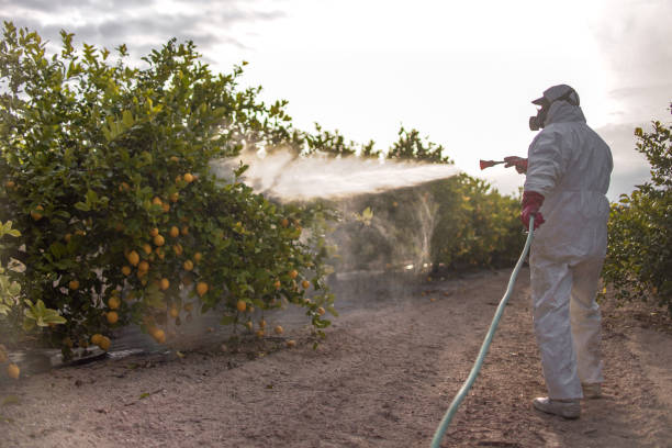 Best Best Pest Control Companies  in Vernon Center, NJ