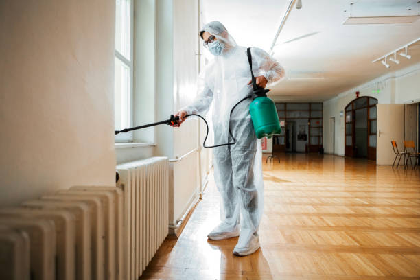 Best Bed Bug Extermination  in Vernon Center, NJ
