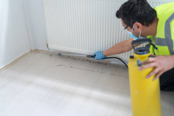 Pest Control for Restaurants in Vernon Center, NJ